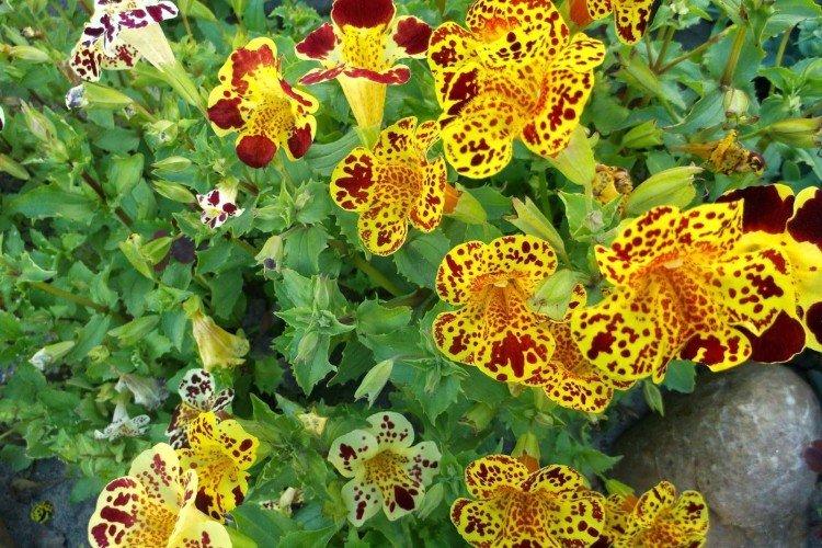 informations générales