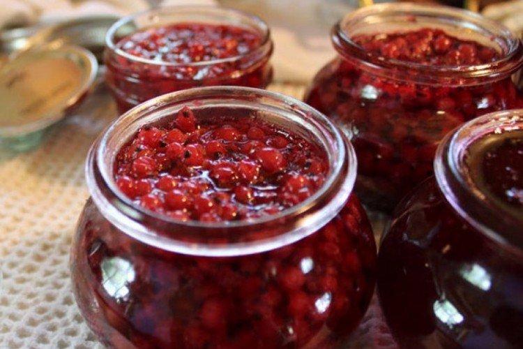 Récolte des baies pour l'hiver