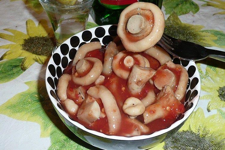 Champignons de lait marinés au concentré de tomates