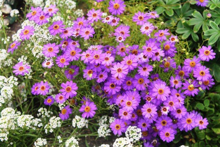 Engrais et alimentation