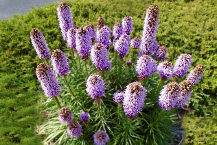 Température et éclairage