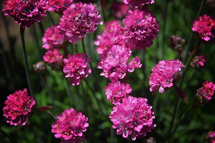 informations générales