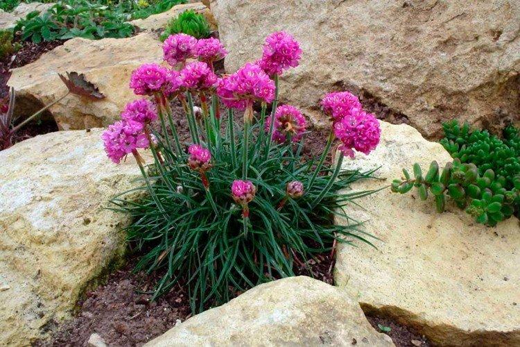 Engrais et alimentation