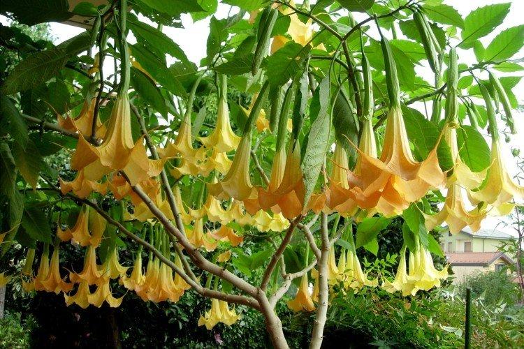 informations générales