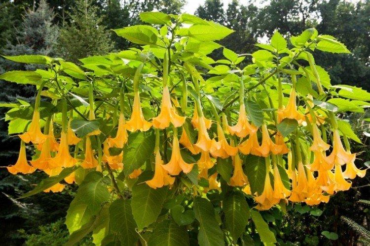 Température et éclairage