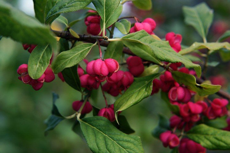 informations générales