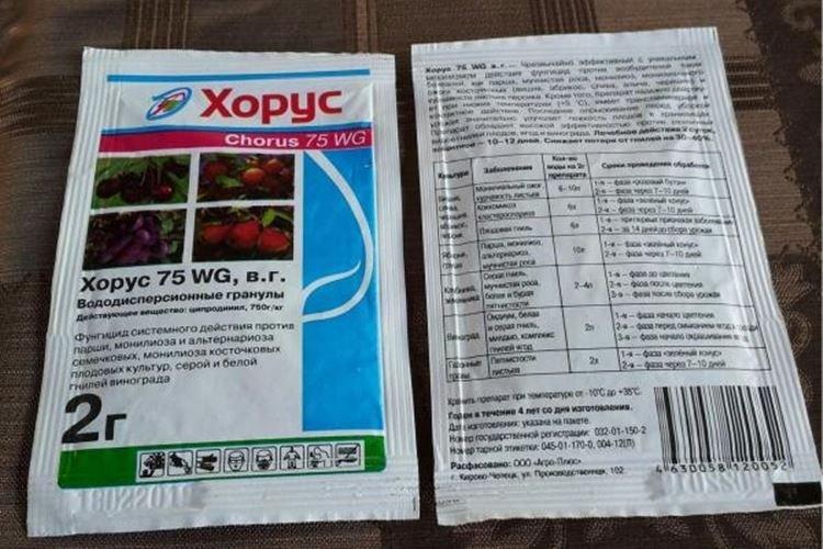 Inconvénients - Mode d'emploi du fongicide Horus