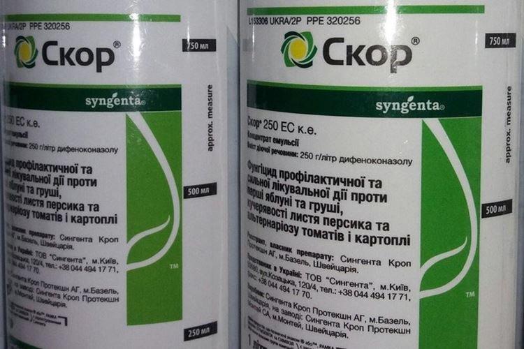 Préparation d'une solution de fongicide Skor