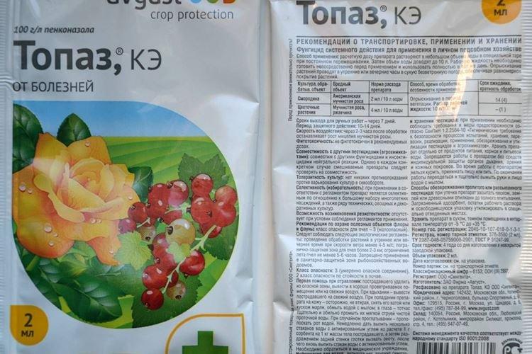 Application du fongicide Topaz