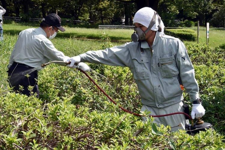 Traitement des plantes - Application de fongicides pour plantes