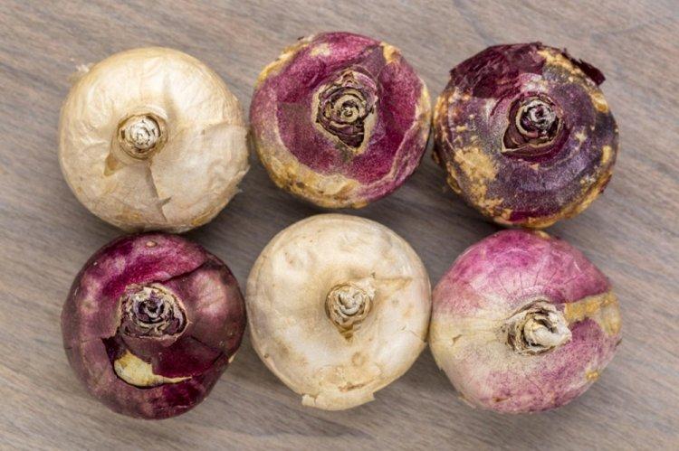 Taille Post-Floraison - Soins Jacinthe