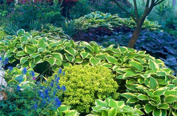 Éclairage - Host Care