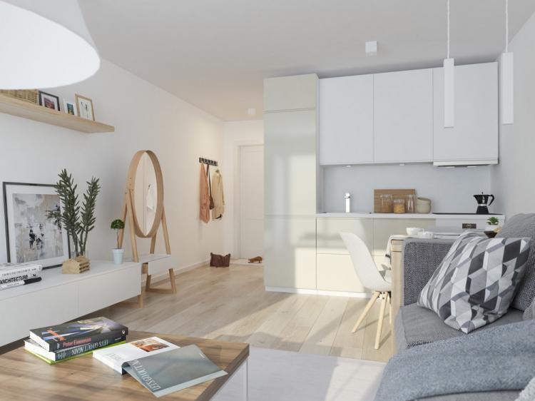 Intérieur d'un studio 40 m2