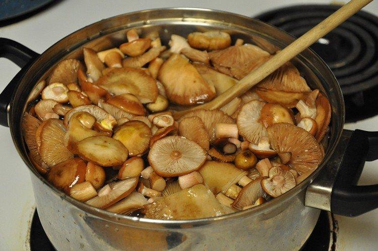 Comment et combien cuire les champignons au miel avant de les faire frire