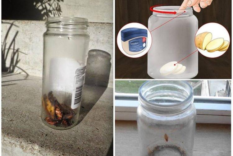 Piège bancaire - Comment se débarrasser des cafards dans un appartement