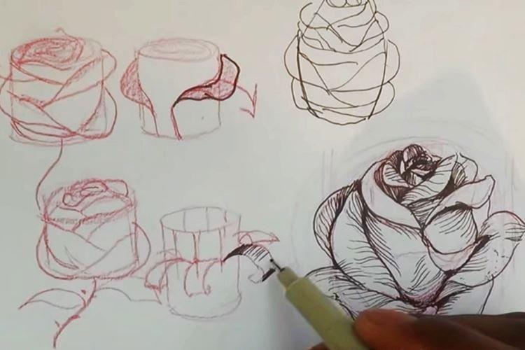 Comment dessiner une rose à partir d'un cylindre