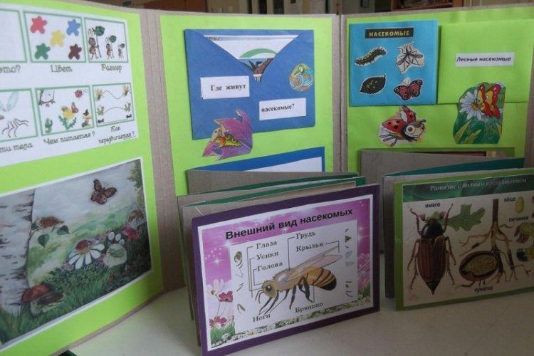 Ordinateur portable à faire soi-même sur les animaux et les plantes - comment faire