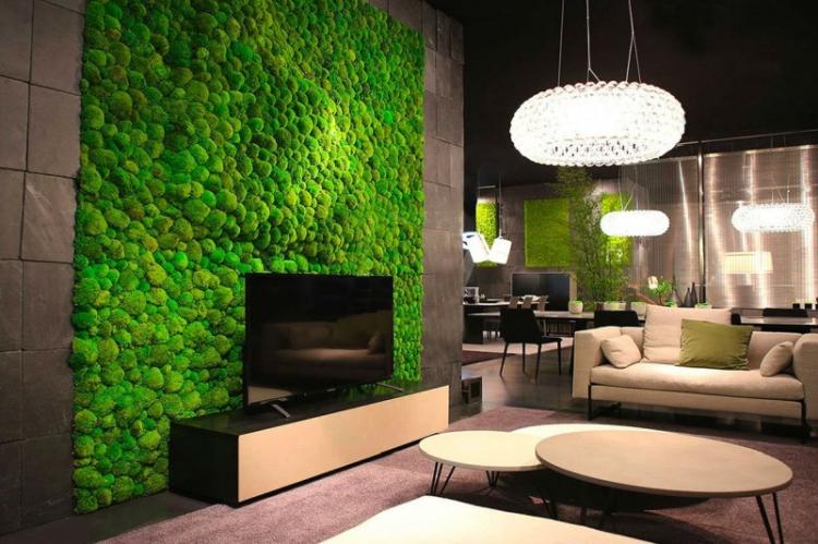 Fitostena - comment cacher les fils du téléviseur