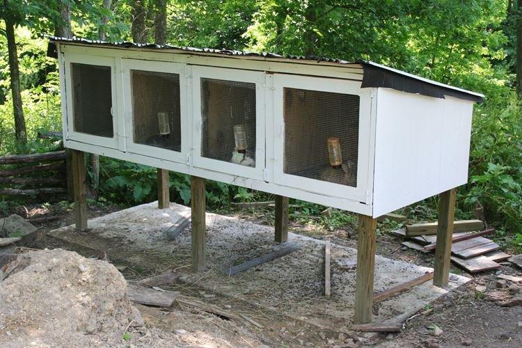Sol et toit - Cages à lapins DIY