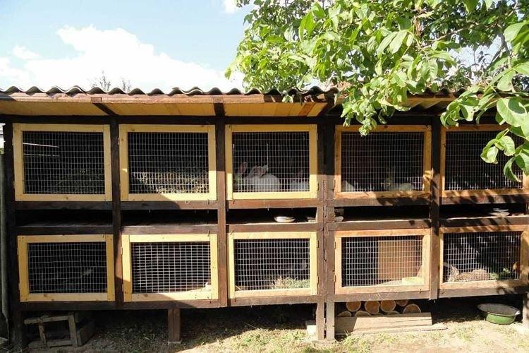 Cages à lapins à plusieurs niveaux