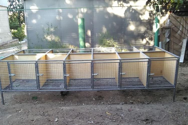 Cages de bricolage pour gros lapins