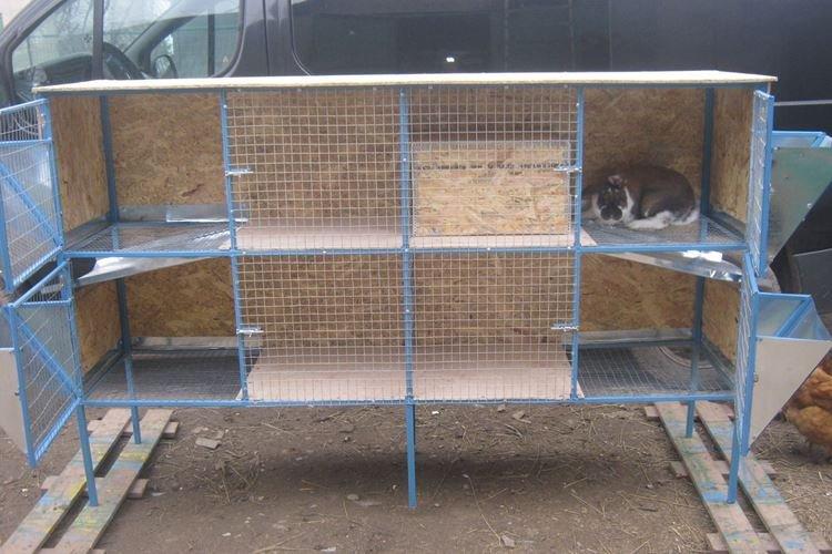Cages de bricolage pour gros lapins