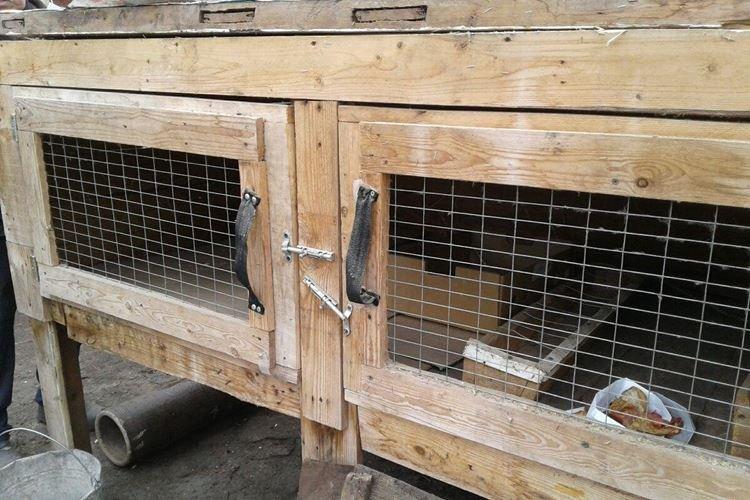Cages d'accouplement - Cages à lapins bricolage