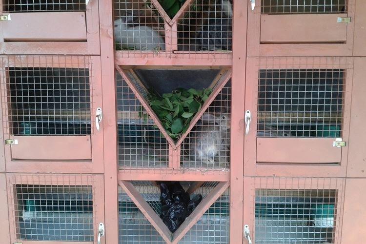 Cages Zolotukhin - Cages à lapins bricolage