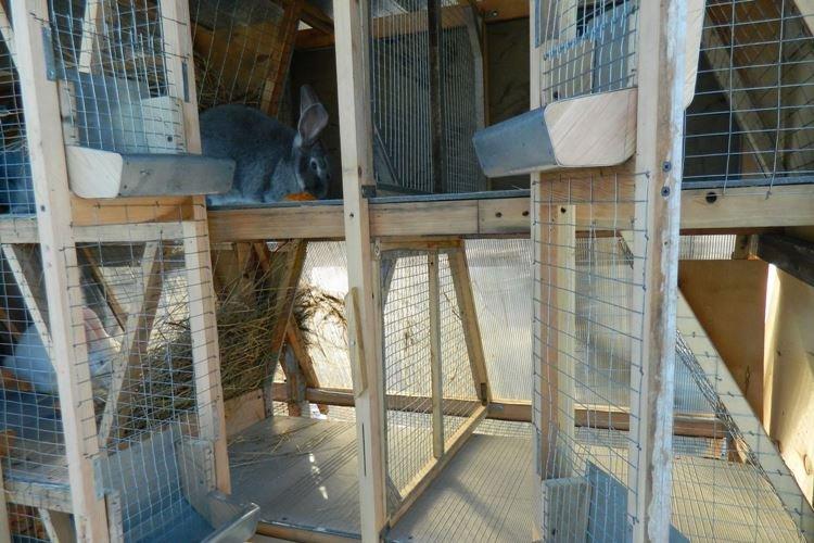 Cages Zolotukhin - Cages à lapins bricolage