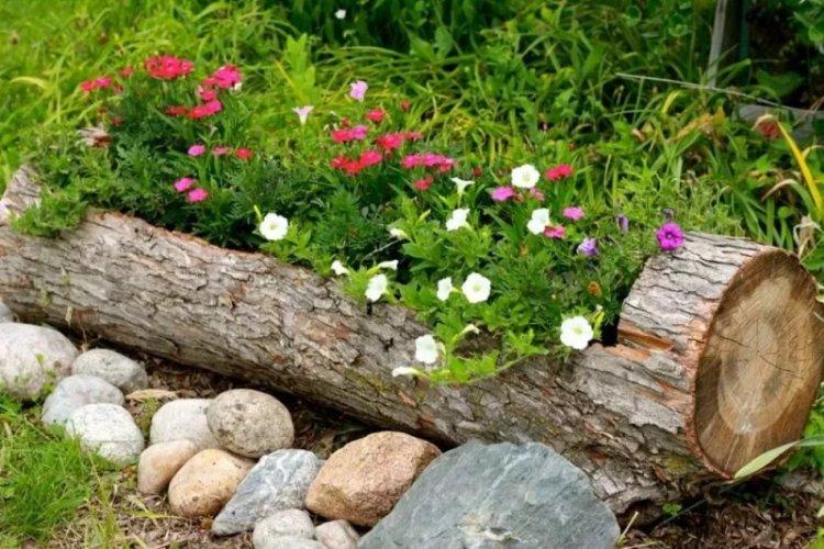 Parterres de fleurs à faire soi-même