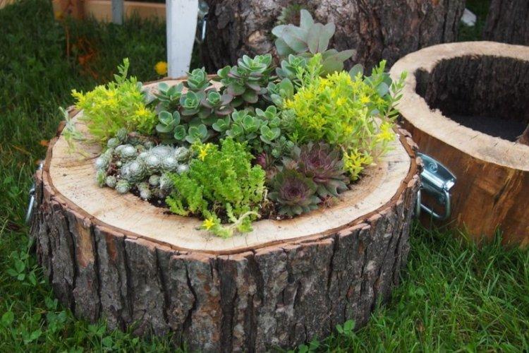 Parterres de fleurs à faire soi-même