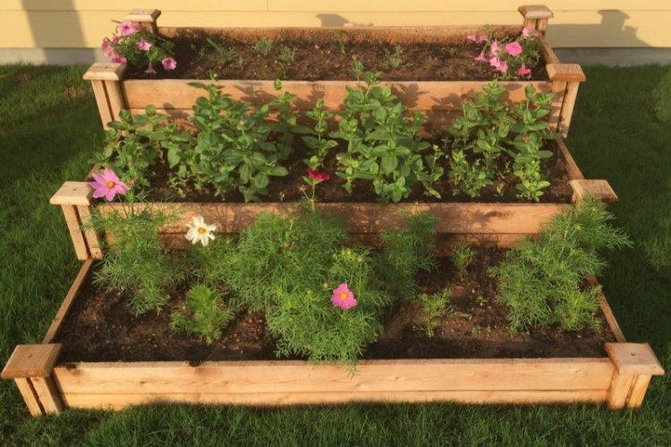 Parterres de fleurs à faire soi-même