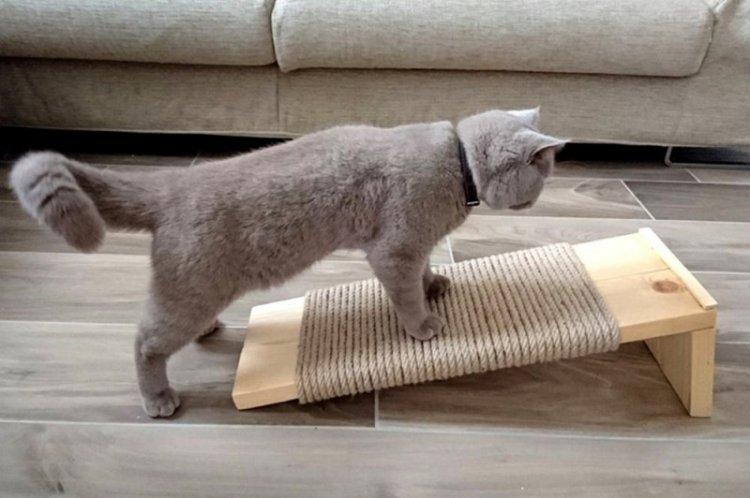 Griffoir de sol pour chat bricolage