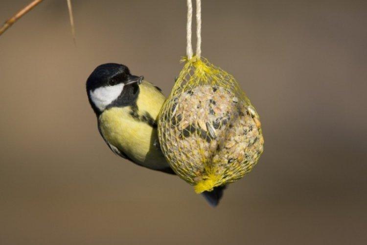 Mangeoires à oiseaux bricolage