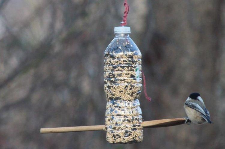 Mangeoire de bricolage pour oiseaux à partir d'une bouteille