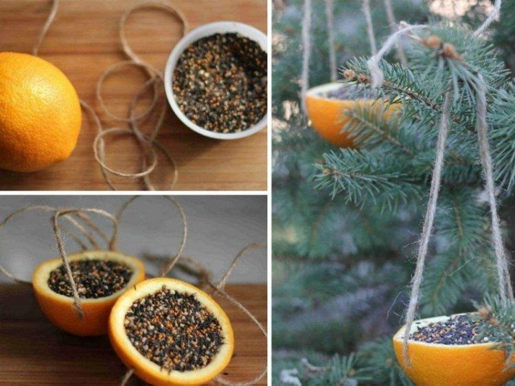 Mangeoires à oiseaux comestibles bricolage