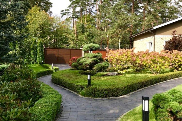 Allées de jardin - Aménagement paysager d'un chalet d'été photo