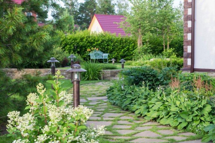 Allées de jardin - Aménagement paysager d'un chalet d'été photo