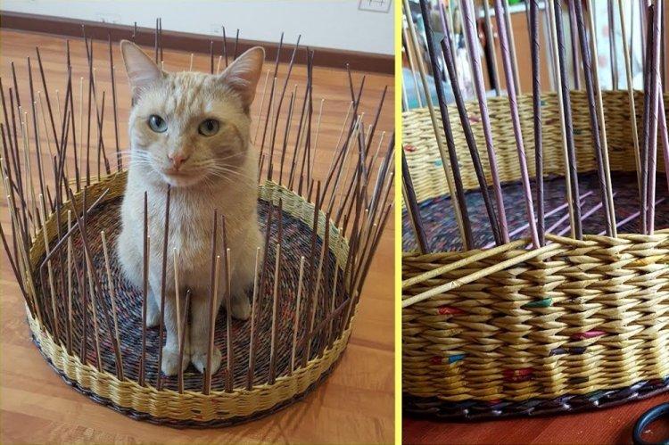 Lit pour chat à faire soi-même en tubes de journaux