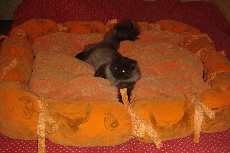 Lit pour chat à faire soi-même - photos et idées