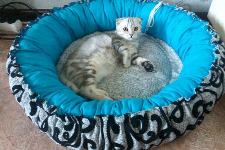 Lit pour chat à faire soi-même - photos et idées