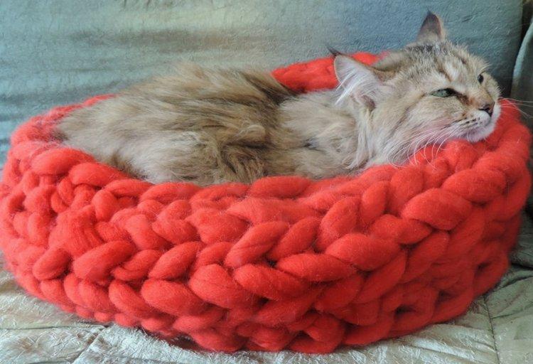 Lit pour chat à faire soi-même - photos et idées