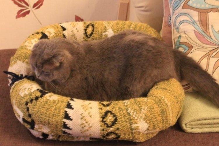 Lit pour chat à faire soi-même - photos et idées