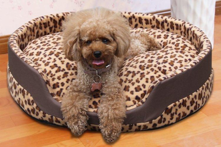 Lit pour chien à faire soi-même - photos et idées