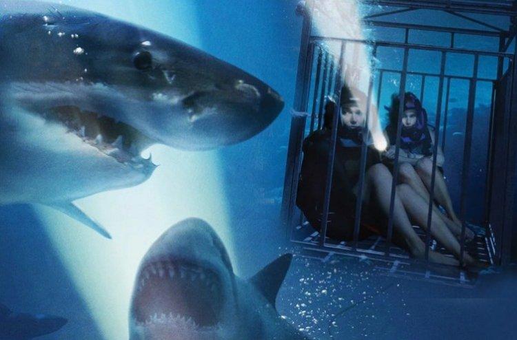 Blue Abyss - Meilleurs films sur les requins