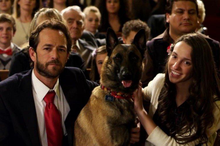 K-9 Christmas Adventures - Meilleurs films sur le Nouvel An et Noël