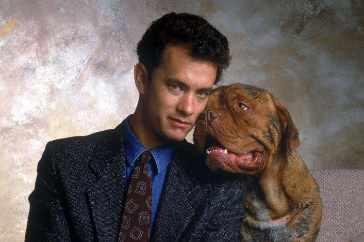 Turner et Hooch - les meilleurs films sur les chiens