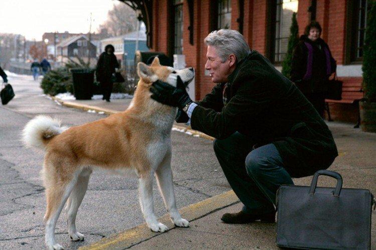Hachiko L'ami le plus fidèle - les meilleurs films sur les chiens
