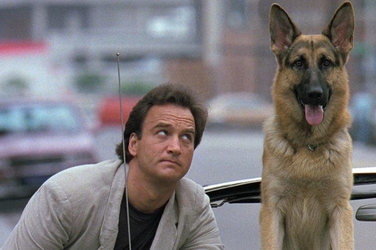 K-9 Dog Job - Meilleurs films sur les chiens