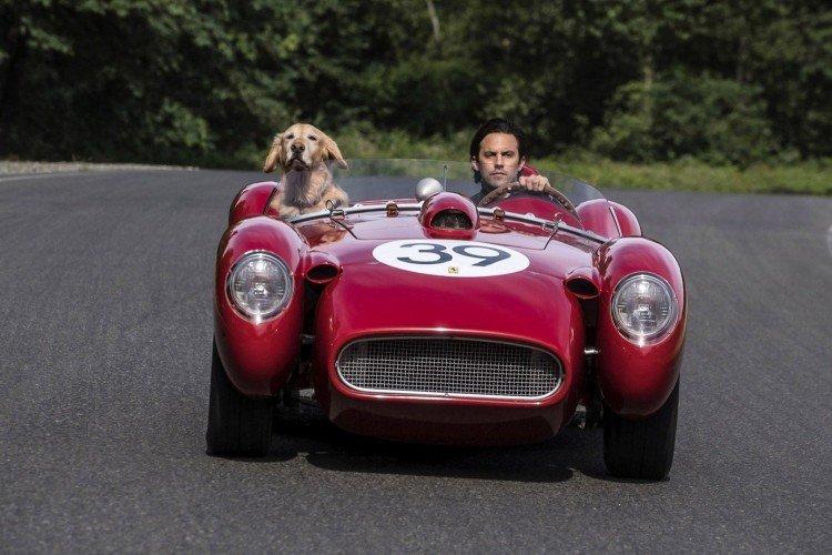 Monde incroyable à travers les yeux d'Enzo - les meilleurs films sur les chiens